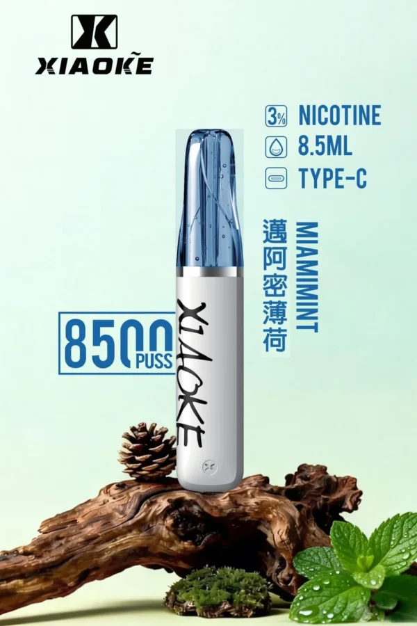 27763104a941bdf31156bc0c11499293-1024x1536.jpg 【台灣現貨】XIAOKE 梟客 8500口拋棄式電子煙 爆款熱銷 秒發免運 老手必備