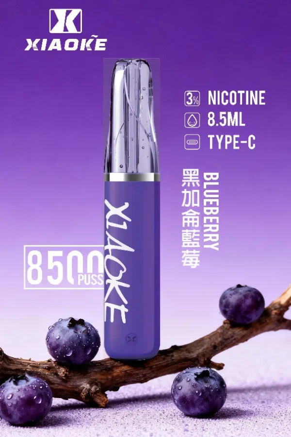 8b2c17ea1d548700b8e9ec2a9e768390.jpg 【台灣現貨】XIAOKE 梟客 8500口拋棄式電子煙 爆款熱銷 秒發免運 老手必備