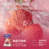 【極致口感】MEHA 魅嗨 新大容量通用一代煙彈 濃郁還原擊喉扎實 順暢霧化老手必備