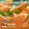 【極致口感】MEHA 魅嗨 新大容量通用一代煙彈 濃郁還原擊喉扎實 順暢霧化老手必備
