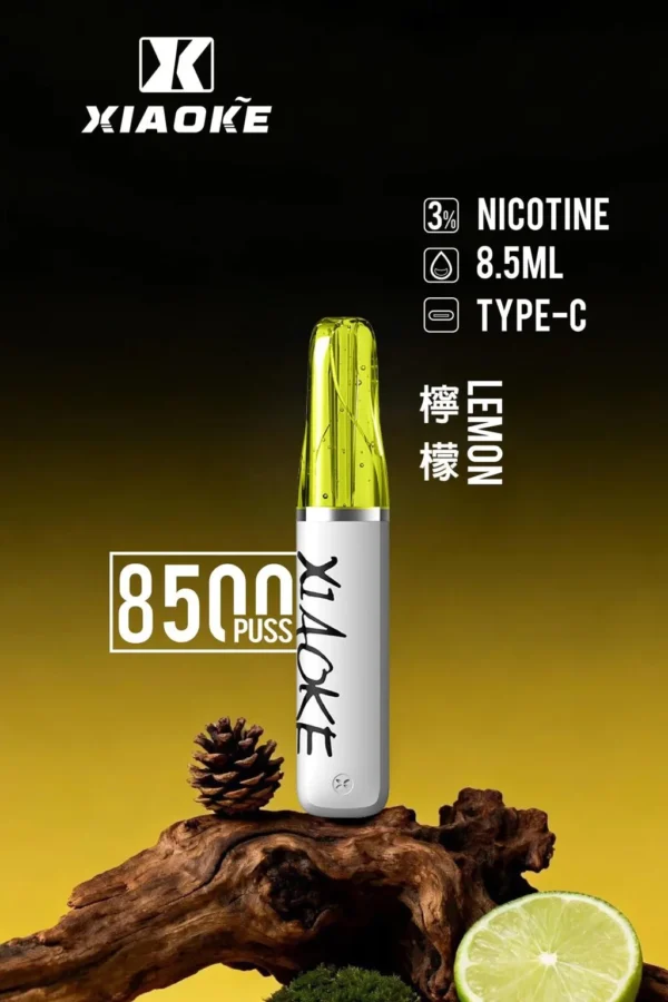 d185d7e28615e84aca893d861a0e04f4-1024x1536.jpg 【台灣現貨】XIAOKE 梟客 8500口拋棄式電子煙 爆款熱銷 秒發免運 老手必備