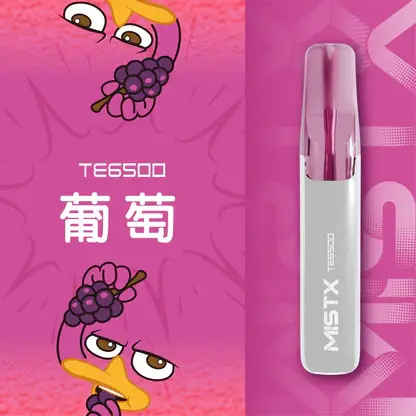 Mist X 鴨嘴獸 冰爽水果口味 6500口拋棄式電子煙｜2%尼古丁鹽順滑不嗆口 550mAh細膩體驗