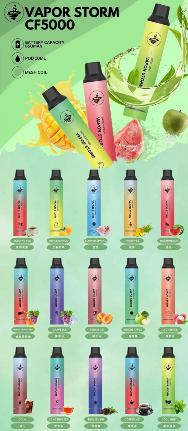 WP風暴 VAPOR STORM 風暴 5000口拋棄式電子煙|Mesh芯強勁霧化 650mAh可充電 俐落金屬手感極致體驗
