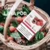【現貨秒發】LANA 一代通用煙彈 1代通用主機煙彈 三顆裝 吸氣即亮炫彩特效