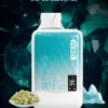 SP2S 思博瑞 GEM 9000 拋棄式電量油量雙顯示！全台現貨秒發 600mAh 快充透明水晶款